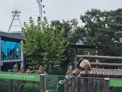 -大连森林动物园