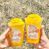 春天到来山茶花开🍃好配辣辣的火锅串串‼️