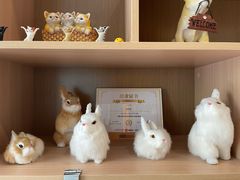 -美迦爱-牙专科·兔科·骨科诊疗中心(北苑店)