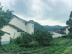 -东海大峡谷