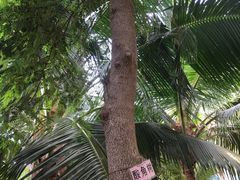 -北戴河集发农业梦想王国