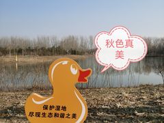 -东郊湿地公园