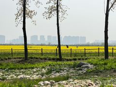 -汉长安城未央宫国家考古遗址公园