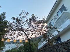 -原乡芦茨咖啡