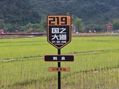 -靖西鹅泉风景区