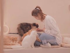 -More Fun猫咖 二十只万元加菲主题