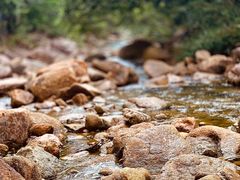 -广州白江湖森林公园