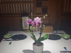 -一叶一世界•素食餐厅(环球中心店)