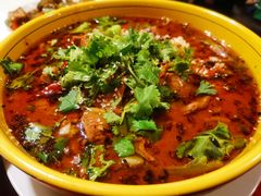 -熊猫川菜馆 panda chine