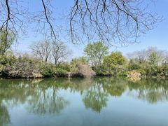 -西溪国家湿地公园