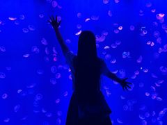 -江和美海洋公园