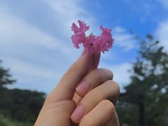 -北京西山国家森林公园