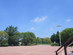 -丁香湖公园