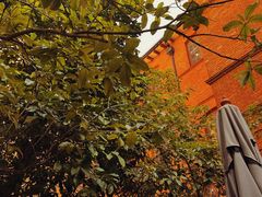 -Ocean's Table 欧舍