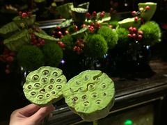 -福玺荟(外滩罗斯福店)