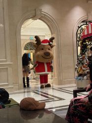 -大连城堡豪华精选酒店·宴会厅