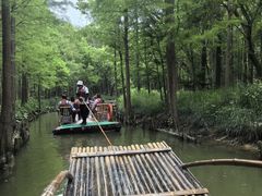 -尚湖风景区