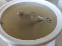 -食家鸽园