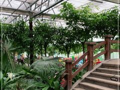 -南宫五洲植物乐园