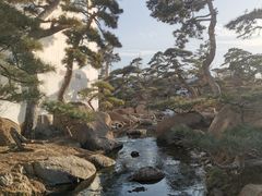 -罗红摄影艺术馆