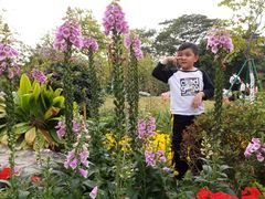 -东莞植物园
