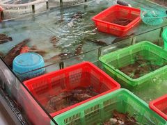 -隆都四季香饭店(碧海路店)