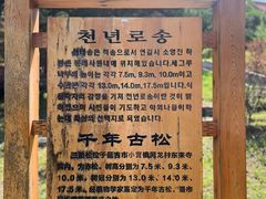 -延吉东来寺