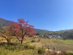 -塔川景区