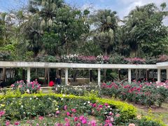 -人民公园(罗湖区)