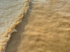-启东黄金海滩景区