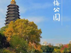 -红梅公园