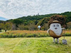 -苏州上方山国家森林公园