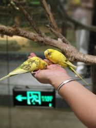 -酷嗒动物文化乐园(cutezoo西溪乐天城店)