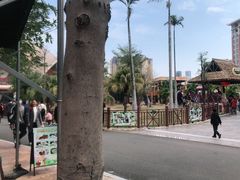 -灵玲国际马戏城