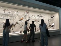 -中国湿地博物馆