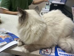 -瑞鹏宠物医院·普外科·影像科·皮肤科(城市山谷分院)