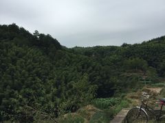 景点-灵山景区梯田