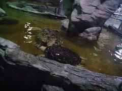 -北海·海洋之窗