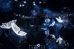 点击看大图 -三色锦婚礼定制