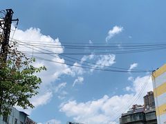 -李记 河口老字号越南小卷粉
