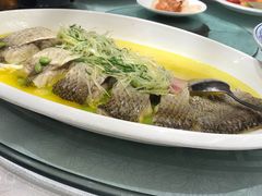 清蒸白鱼-泓历皇朝酒店(东亭店)