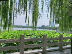 -济南大明湖景区