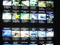 -鹿儿岛水族馆