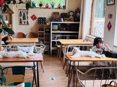 -小时光咖啡馆(开森度假森林店)