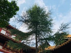 -中国观音故里广德景区