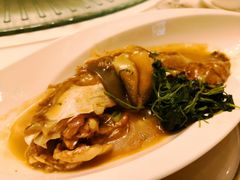 红烧鲃鱼-阳澄湖费尔蒙酒店颐丰阁中餐厅(马鞍山西路店)