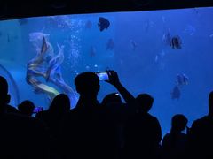 -左海海底世界