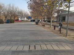 -武清南湖绿博园