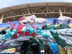 -野生动物园-停车场