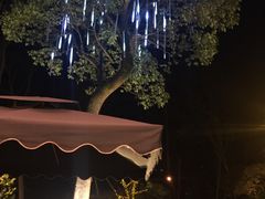 -青城道汤池